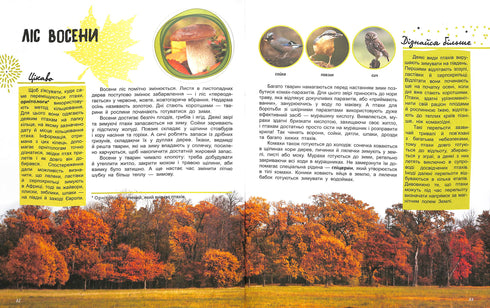 El mundo y sus misterios: La vida del bosque