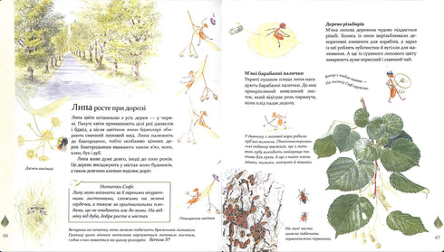 Expedition with Ant Sophie. Exploring the nature around us.