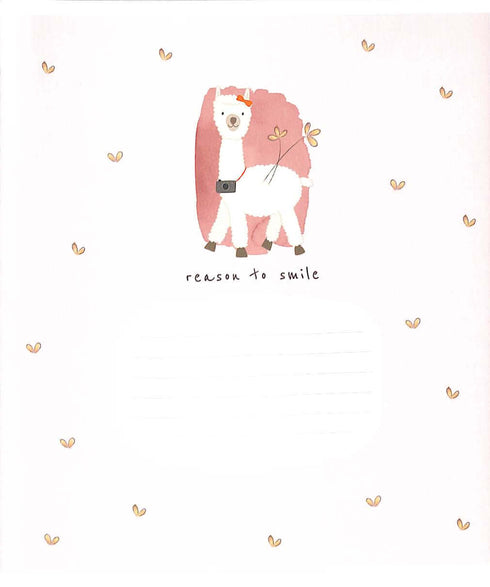 Hefter im karierten Design - 12 Blätter (mit verschiedenen Motiven auf dem Einband)