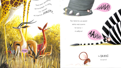 Comment trouver un lion ?