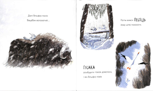 El lobo busca el camino hacia la manada