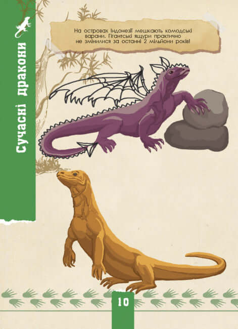 Écocourse. Faune sauvage