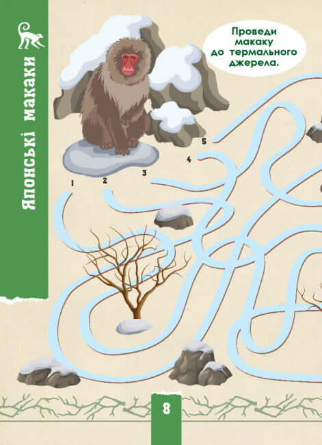 Écocourse. Faune sauvage