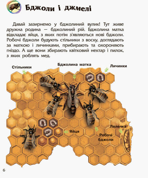 Enciclopedia di un bambino in età prescolare. insetti