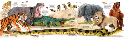 Gran libro de animales