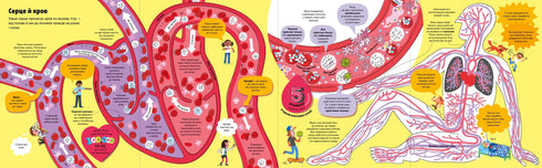 Il grande libro sul corpo